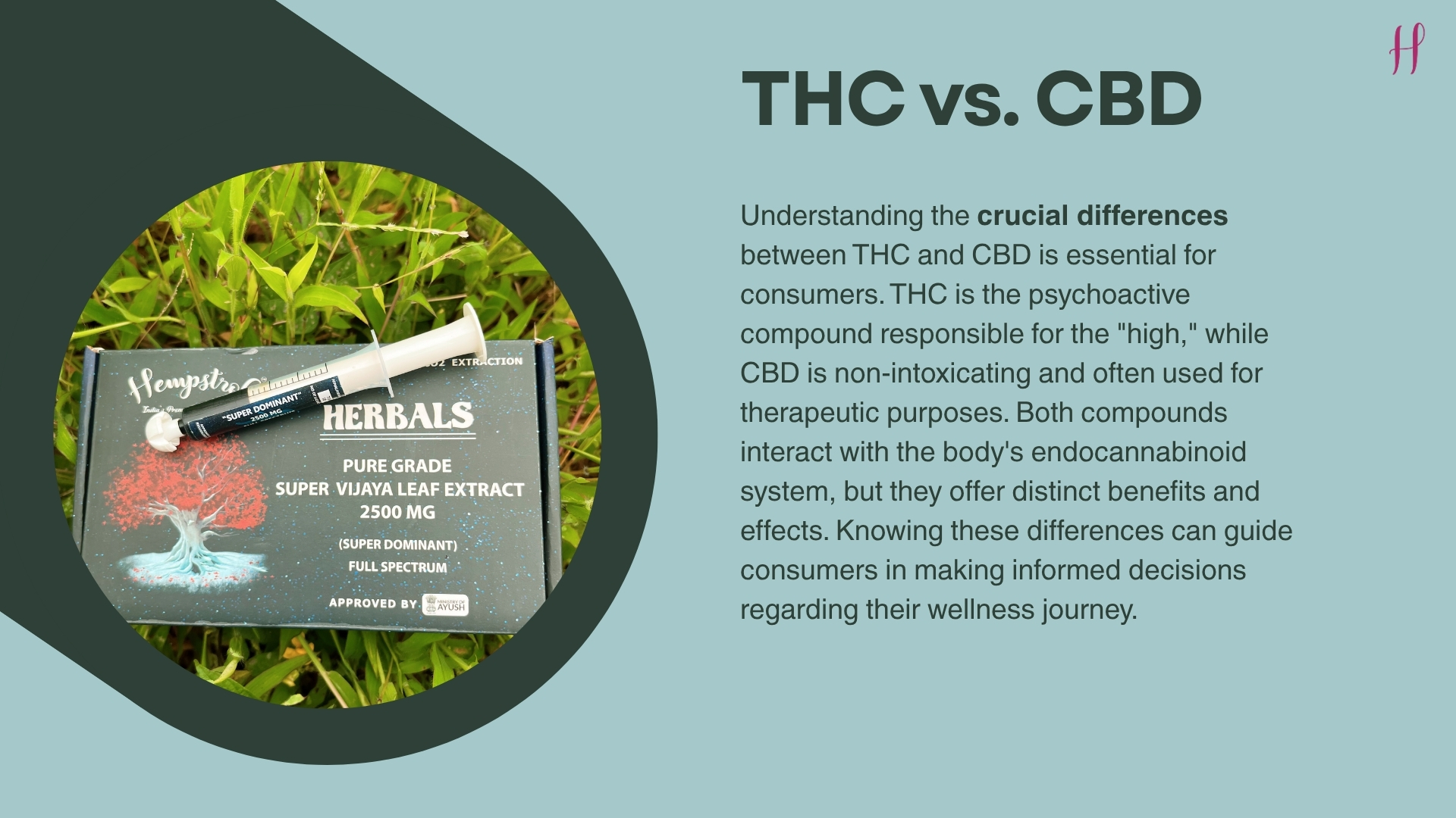 THC vs. CBD: Knowing the Difference